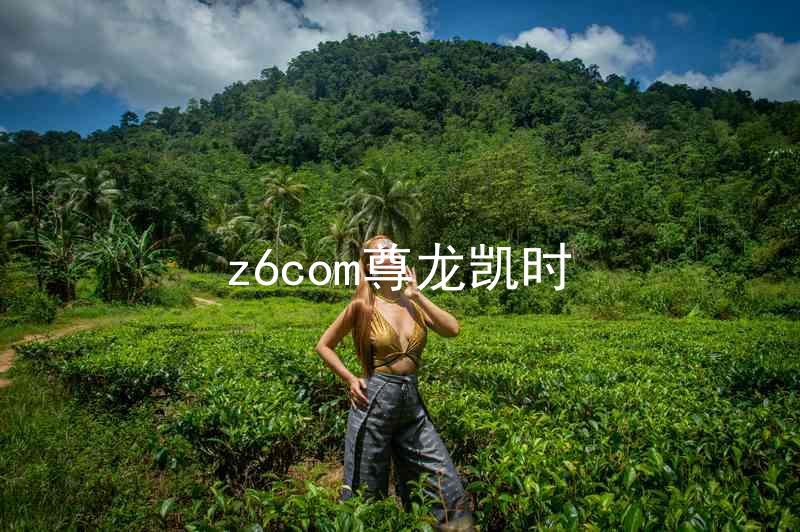 z6com尊龙凯时