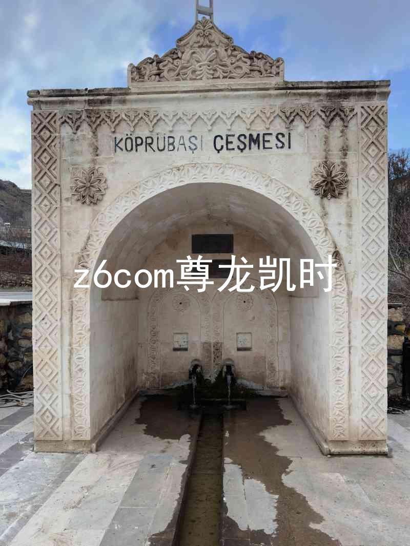 z6com尊龙凯时